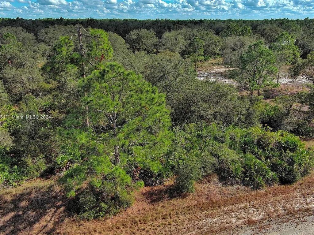 An aerial view shows a dense, wooded lot with pine trees and native Florida vegetation — 4701 KAREN AVENUE S, LEHIGH ACRES, FL