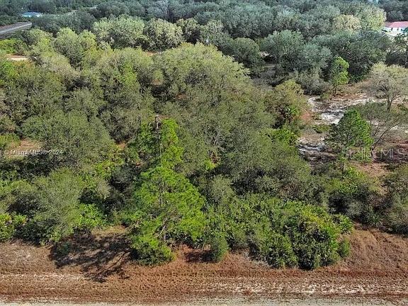 An aerial view shows a densely wooded, undeveloped plot of land with a dirt road — 4701 KAREN AVENUE S, LEHIGH ACRES, FL