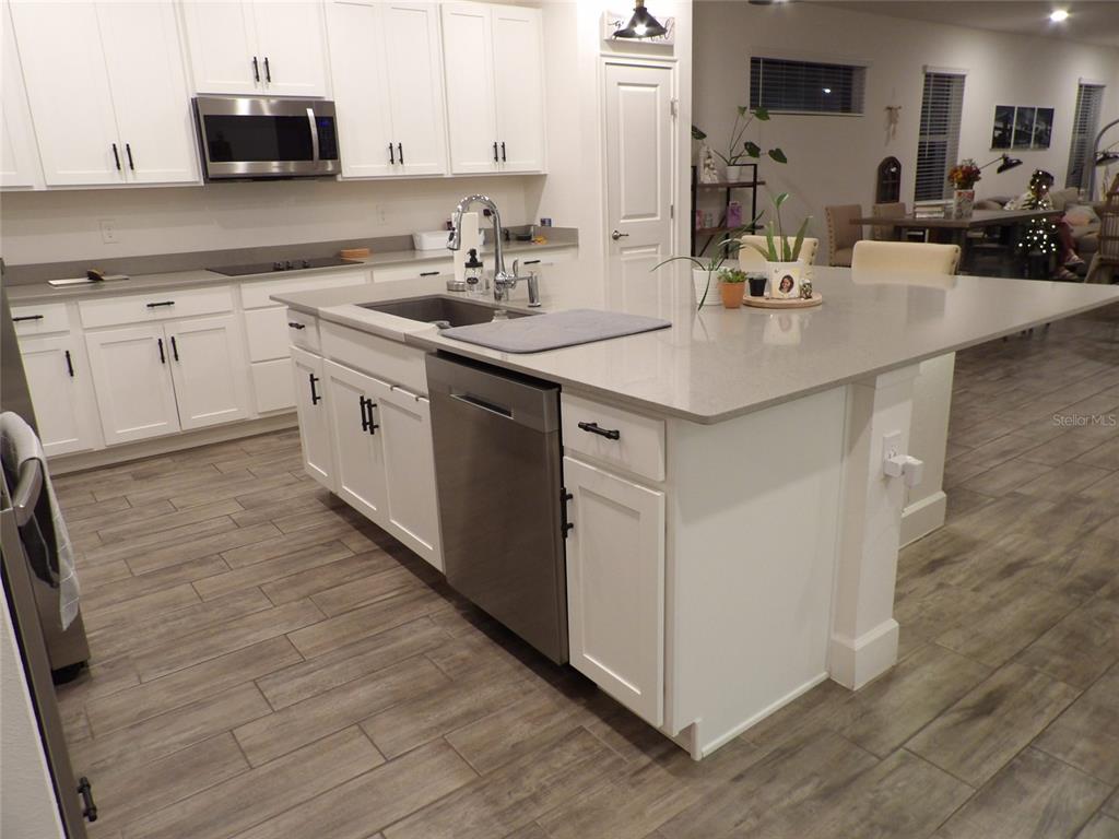 17896 PASSIONFLOWER CIRCLE, CLERMONT, FL — photo 3 of 30