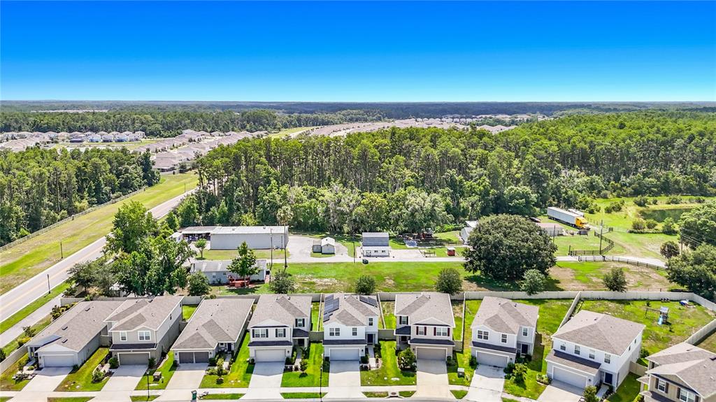 An aerial view shows a row of suburban houses bordering a large wooded area — 10699 OLD SYCAMORE LOOP, LAND O LAKES, FL