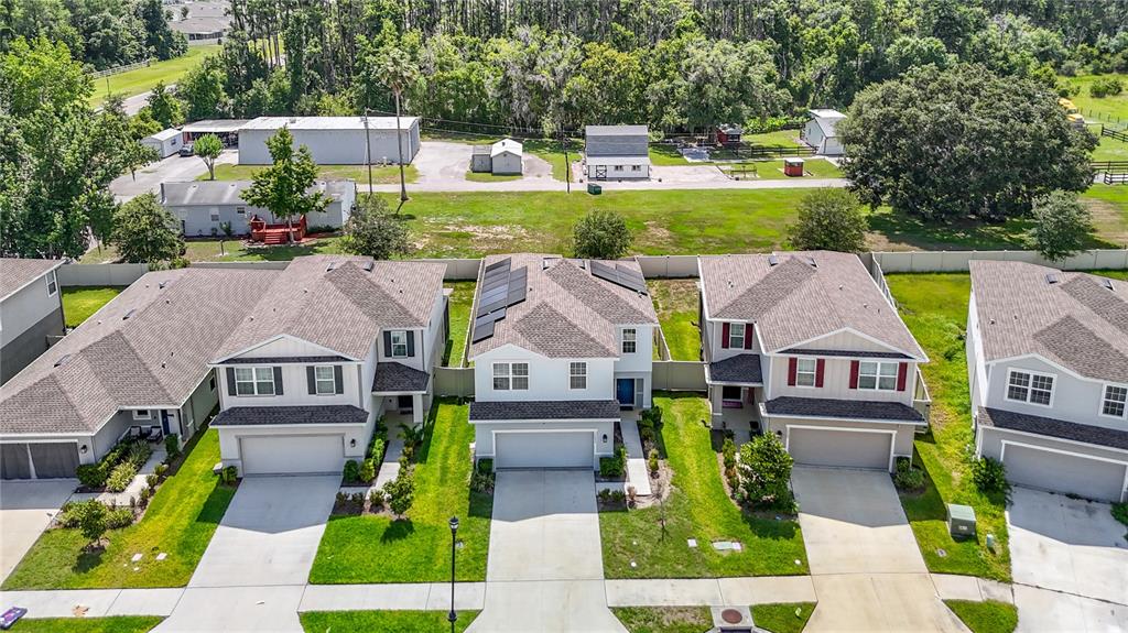 An aerial view shows a row of suburban houses with driveways and a grassy backyard — 10699 OLD SYCAMORE LOOP, LAND O LAKES, FL