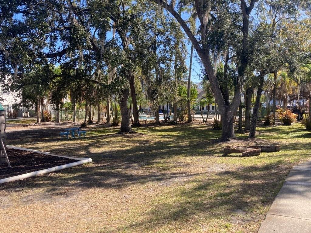 A grassy park area features mature trees, a blue picnic table, and a fenced pool — 4352 S KIRKMAN ROAD UNIT 1211, ORLANDO, FL