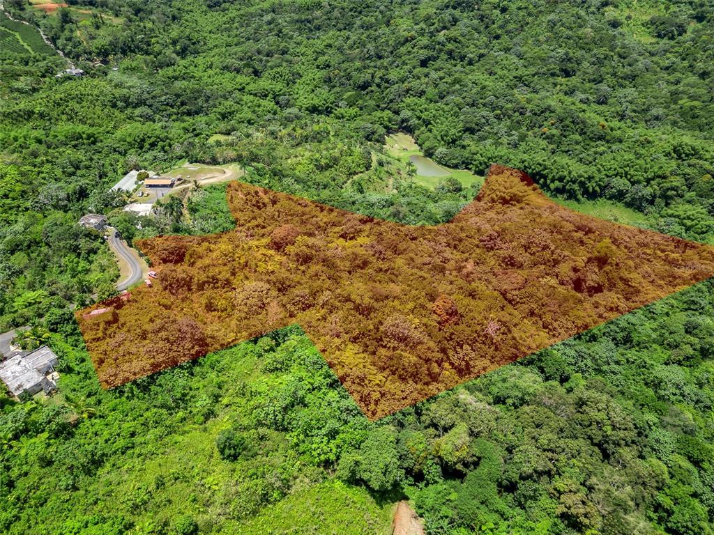 An aerial view shows a large, wooded plot of land highlighted with a brown overlay — 436 Km 1.8 INTERIOR SECTOR JESÚS BELTRÁN, LARES, PR