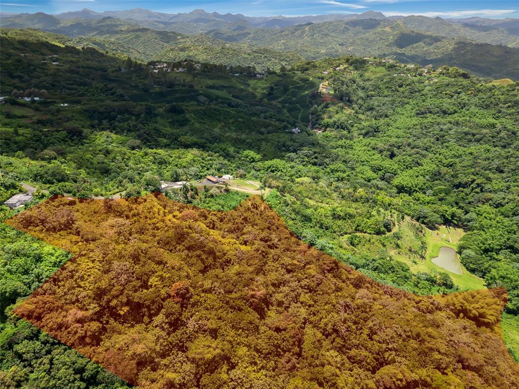 An aerial view shows a large, forested plot of land highlighted in orange — 436 Km 1.8 INTERIOR SECTOR JESÚS BELTRÁN, LARES, PR