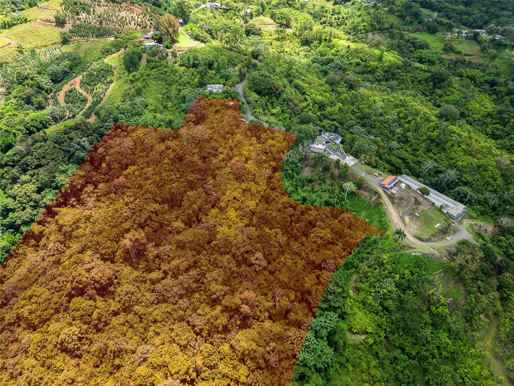 An aerial view shows a large, forested plot of land highlighted in brown next to buildings — 436 Km 1.8 INTERIOR SECTOR JESÚS BELTRÁN, LARES, PR
