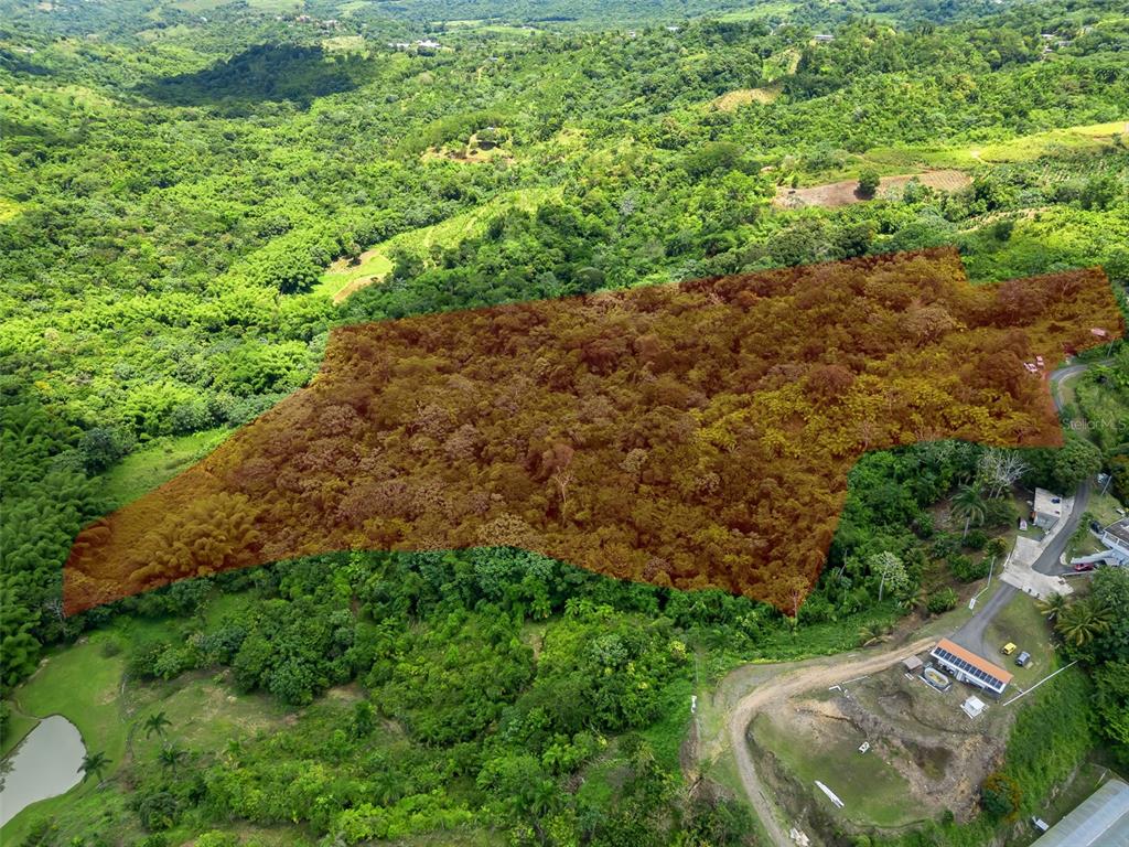 An aerial view shows a large, wooded plot of land highlighted in brown — 436 Km 1.8 INTERIOR SECTOR JESÚS BELTRÁN, LARES, PR