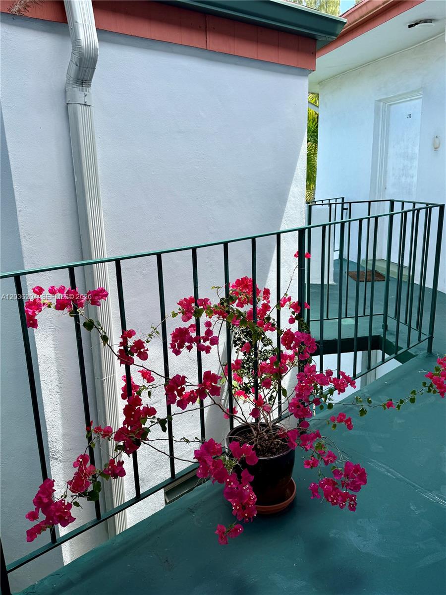 A potted bougainvillea plant sits on a green balcony next to a white building — 18750 NE 18th Ave # 251, Miami FL 33179, MIAMI, FL
