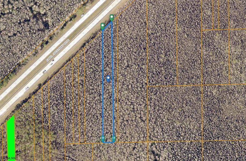 An aerial map shows a rectangular plot of land outlined in blue near a highway — TURKEY ROOST RD, DELAND, FL