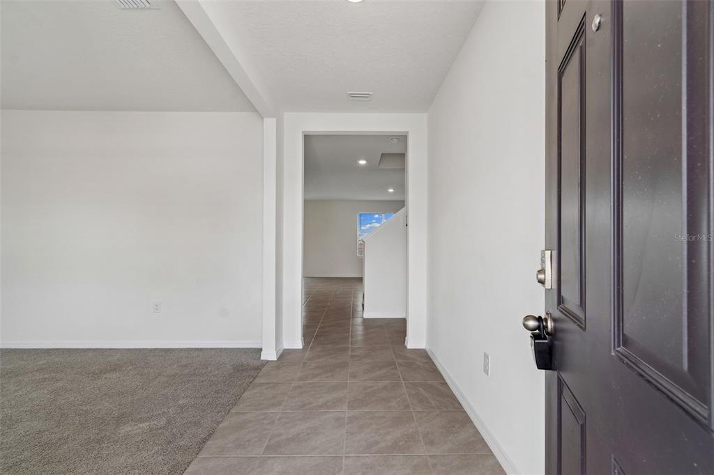 An entryway features a dark door, tiled flooring, and a carpeted living area — 8454 ENDER HILLS DRIVE, WESLEY CHAPEL, FL