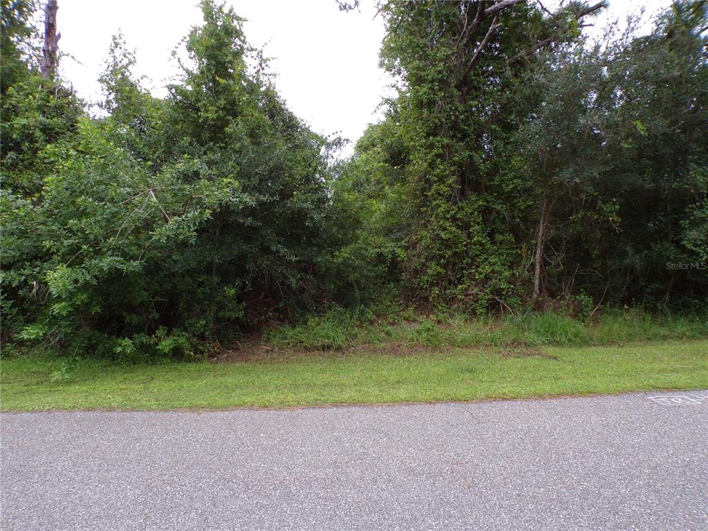 A paved road runs in front of a densely wooded, undeveloped residential lot — EMBASSY ROAD, NORTH PORT, FL