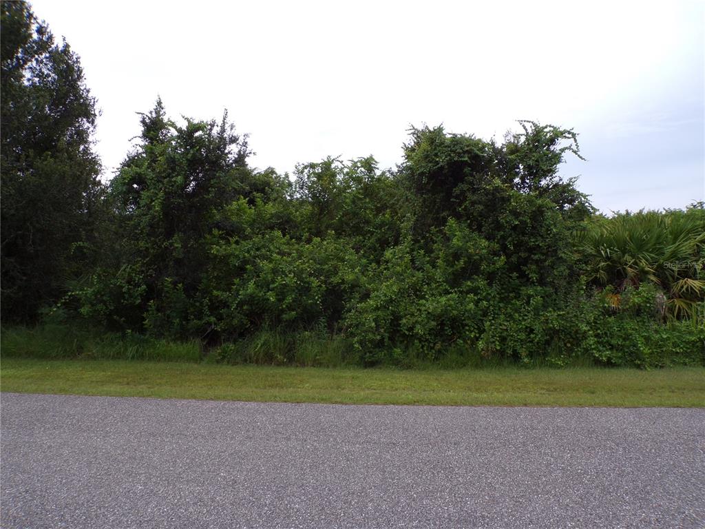 A paved road runs in front of a dense, overgrown wooded lot — EMBASSY ROAD, NORTH PORT, FL