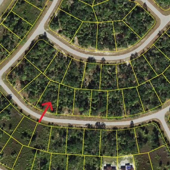 3343 VINEYARD CIRCLE