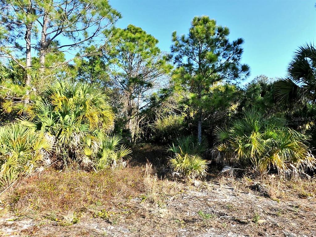 3343 VINEYARD CIRCLE, NORTH PORT, FL — photo 2 of 3