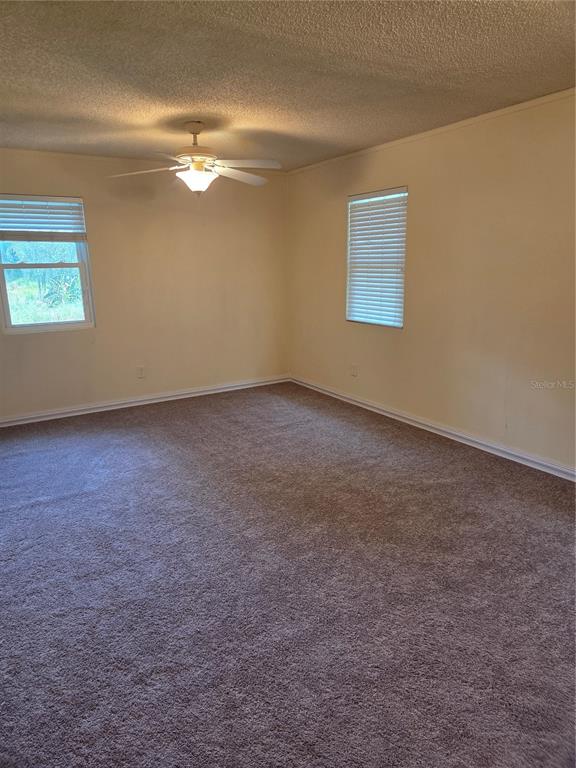 An empty bedroom features beige walls, brown carpeting, a ceiling fan, and two windows — 5809 J G ROGERS LANE, PLANT CITY, FL
