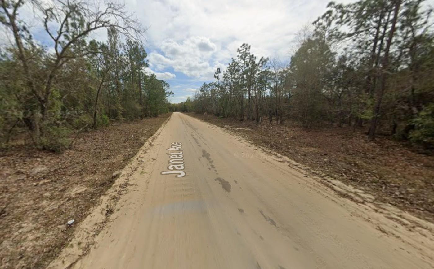 A dirt road stretches through a wooded area under a cloudy sky — Lot 28 Janet Avenue, FL 32148, FL
