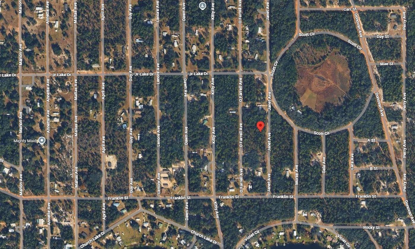 This is an aerial map view of a residential neighborhood with streets and wooded lots — Lot 28 Janet Avenue, FL 32148, FL