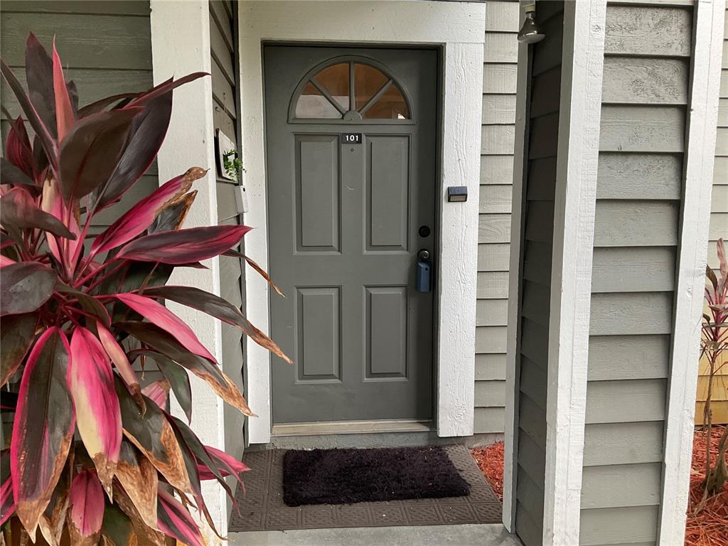 A gray front door with a small window and the number 101 sits beside a plant — 2197 FOX CHASE BOULEVARD UNIT 101, PALM HARBOR, FL