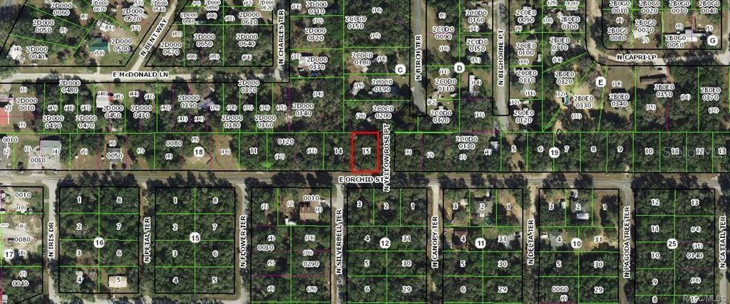 3667 E ORCHID STREET, HERNANDO, FL — photo 2 of 8