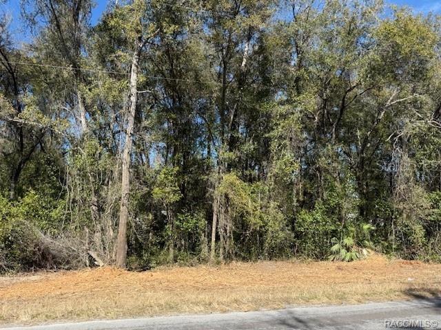 3667 E ORCHID STREET, HERNANDO, FL — photo 3 of 8