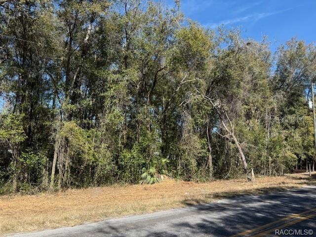 3667 E ORCHID STREET, HERNANDO, FL — photo 4 of 8