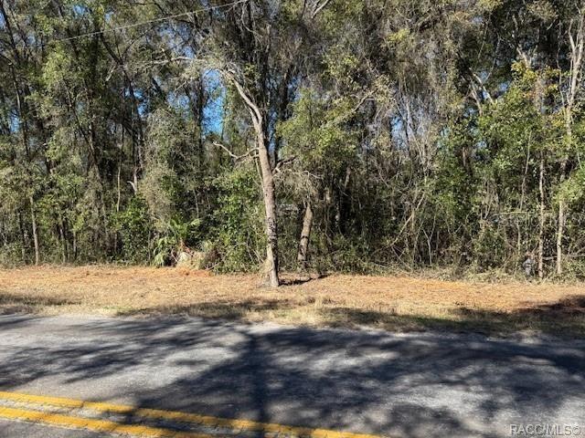 3667 E ORCHID STREET, HERNANDO, FL — photo 5 of 8