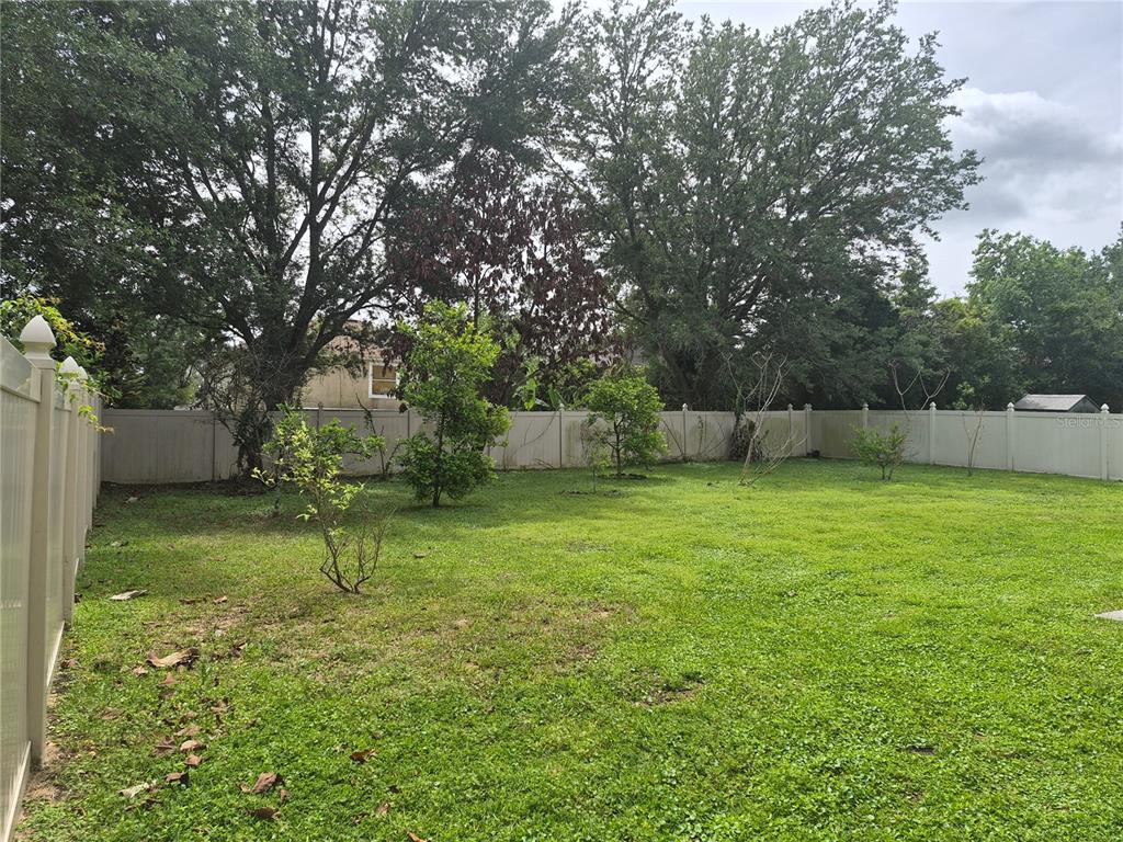 A grassy backyard features several small trees and is enclosed by a white vinyl fence — 2554 PALMETTO RIDGE CIRCLE, APOPKA, FL