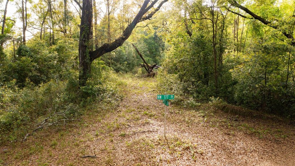 A street sign stands in a wooded area with a dirt path leading into the trees — 00 NW 177TH PLACE, HIGH SPRINGS, FL