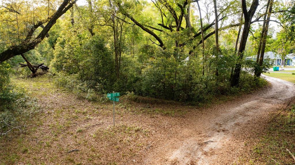 A dirt road forks in a wooded area with a street sign at the intersection — 00 NW 177TH PLACE, HIGH SPRINGS, FL