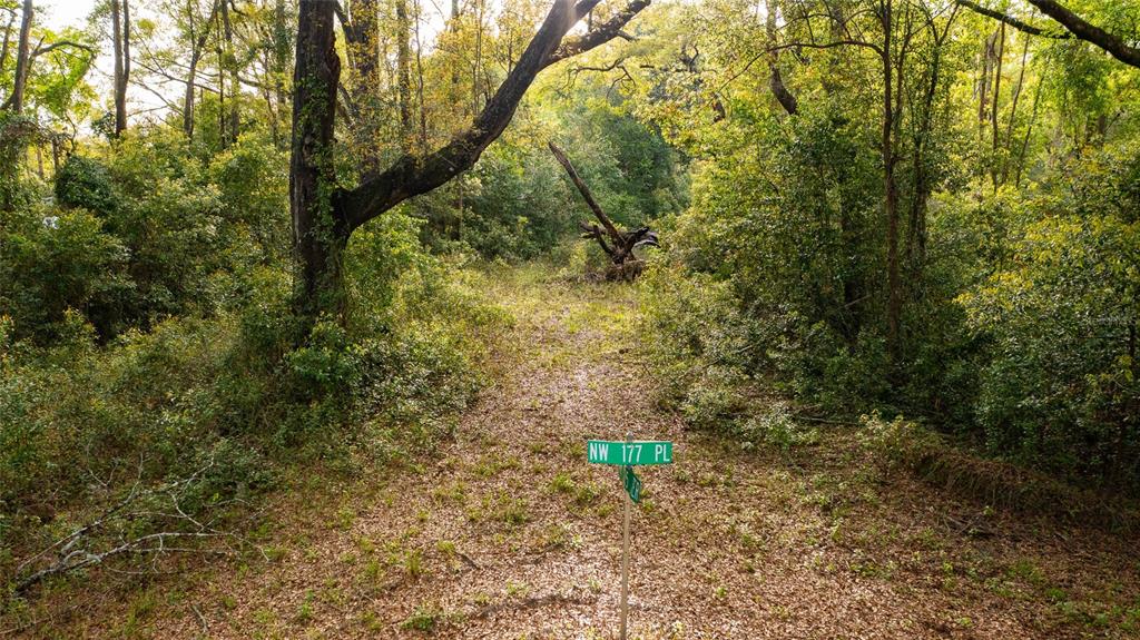 A street sign for NW 177 PL stands in a wooded, undeveloped lot with dense trees — 00 NW 177TH PLACE, HIGH SPRINGS, FL