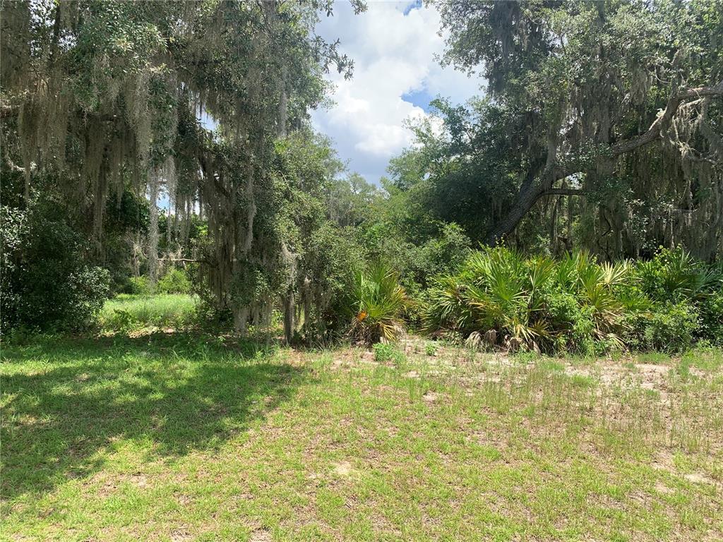 3113 BRIGHT LAKE CIRCLE