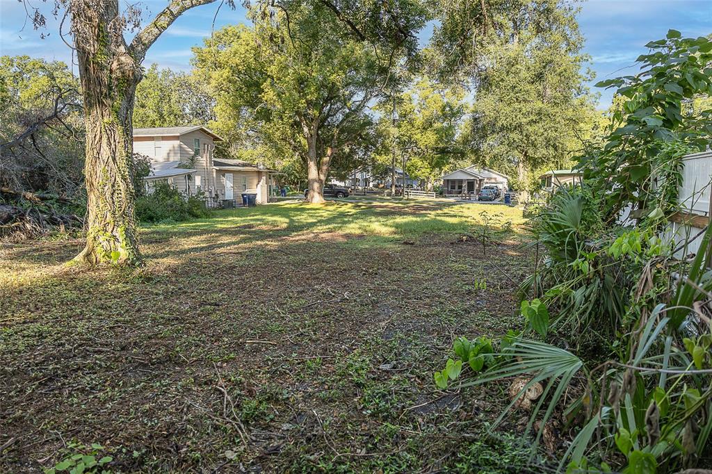 A grassy, tree-filled residential lot with neighboring houses visible in the background — 8409 N MULBERRY STREET, TAMPA, FL