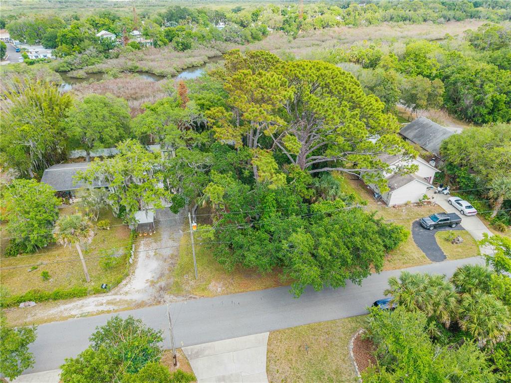An aerial view shows two houses surrounded by dense trees and a nearby marshy area — BROOKLINE AVENUE, NEW SMYRNA BEACH, FL