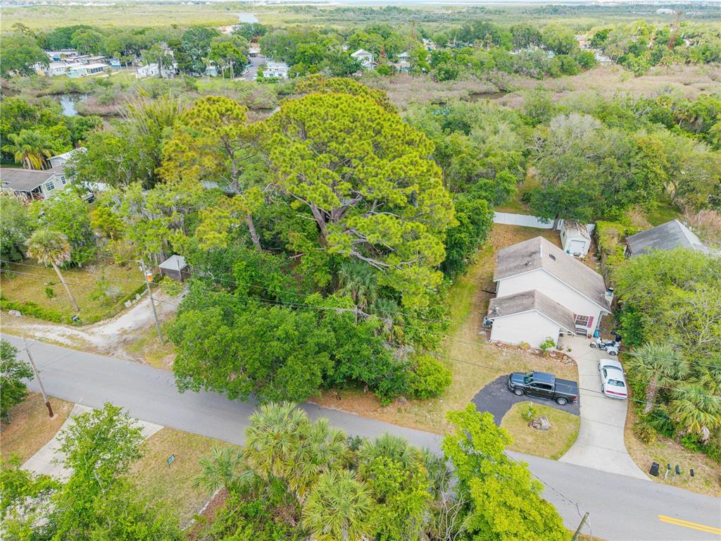 An aerial view shows a house with a driveway, a large tree, and surrounding vegetation — BROOKLINE AVENUE, NEW SMYRNA BEACH, FL