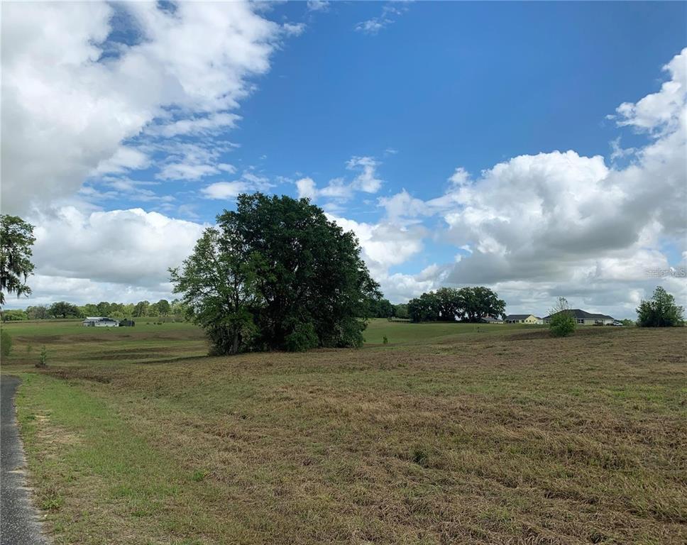 A large, grassy field features a prominent tree under a bright, cloudy blue sky — 21635 SW 10TH STREET, DUNNELLON, FL