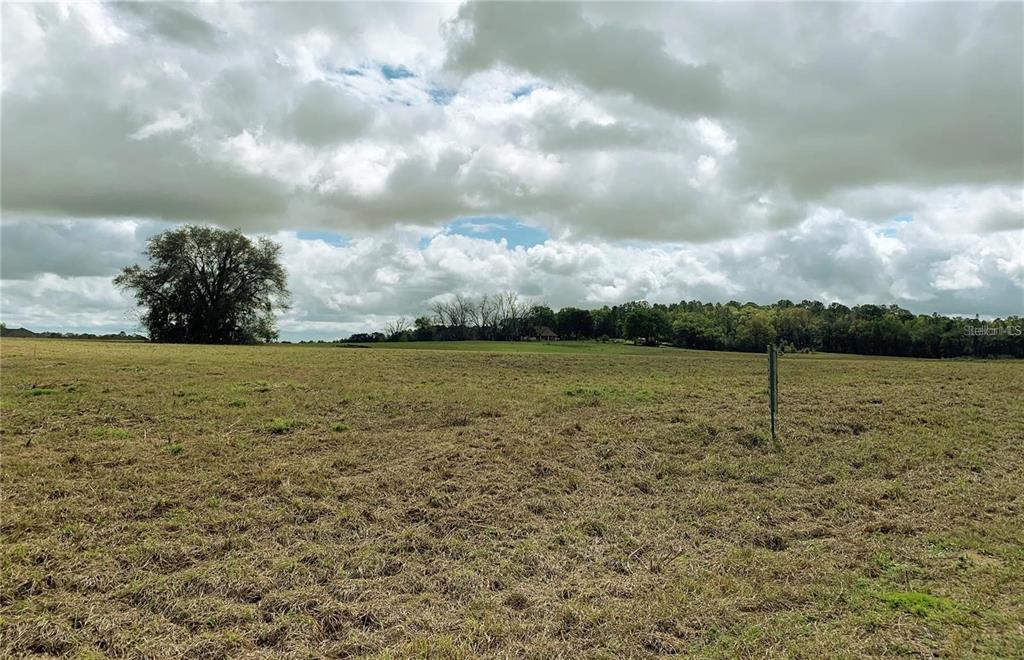 A wide, grassy field stretches toward a distant tree line under a cloudy sky — 21635 SW 10TH STREET, DUNNELLON, FL