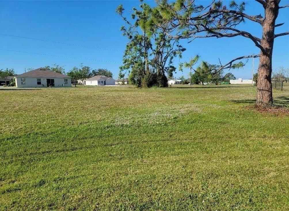 A large, grassy vacant lot features a mature pine tree and nearby residential houses — 25172 CADIZ DRIVE, PUNTA GORDA, FL