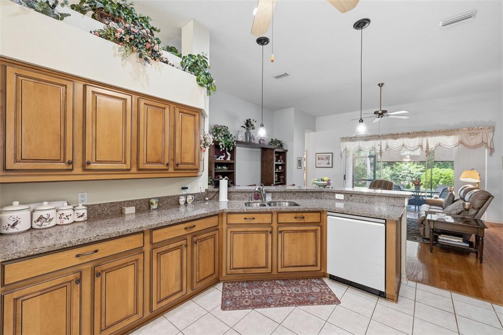 A kitchen features wood cabinets, granite countertops, a white dishwasher, and an adjacent living area — 19720 MORDEN BLUSH DRIVE, LUTZ, FL