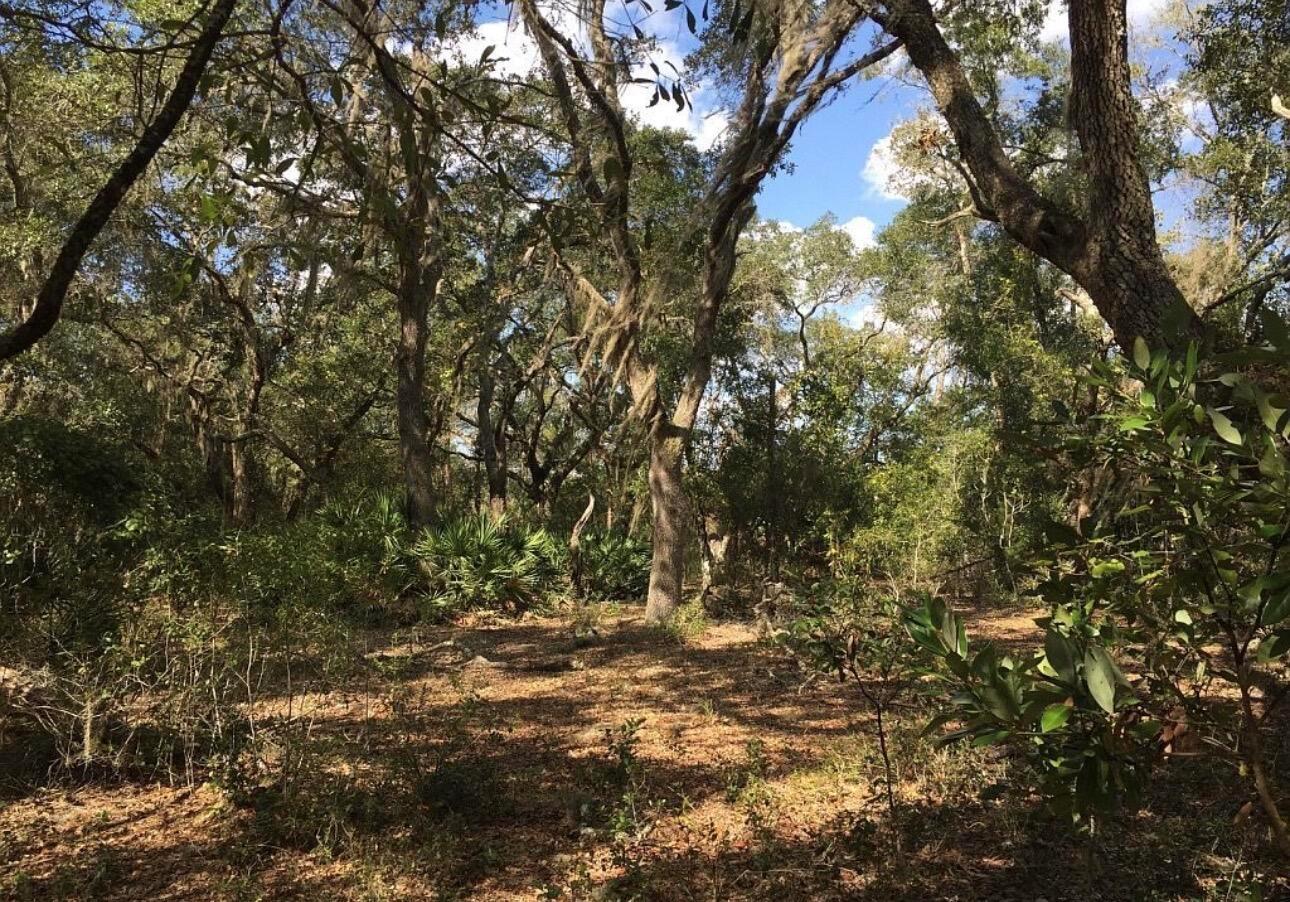 8922 E Gulf To Lake Highway, Inverness FL 34450