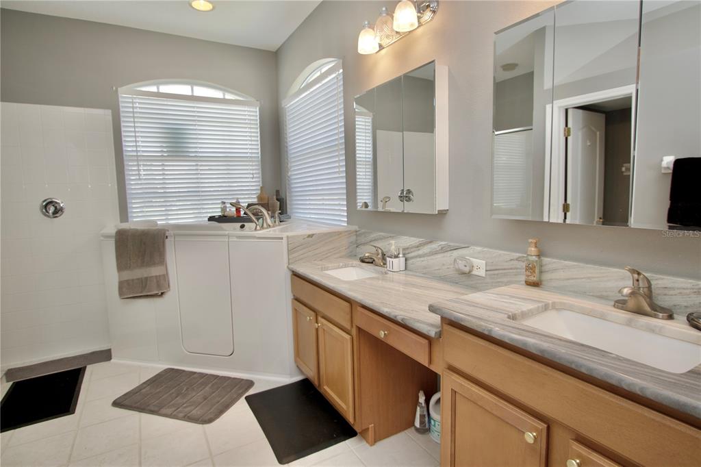 A bathroom features a walk-in tub, dual vanity with stone countertops, and mirrored medicine cabinets — 11205 EDGE PARK DRIVE, HUDSON, FL