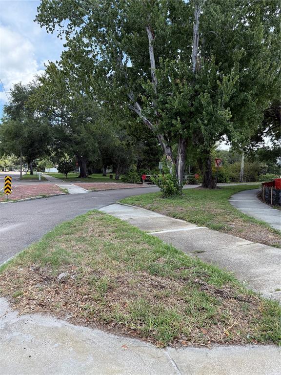 A paved street corner features a sidewalk, a grassy median, and several large mature trees — 3531 DR MLK JR. DRIVE, ST PETERSBURG, FL