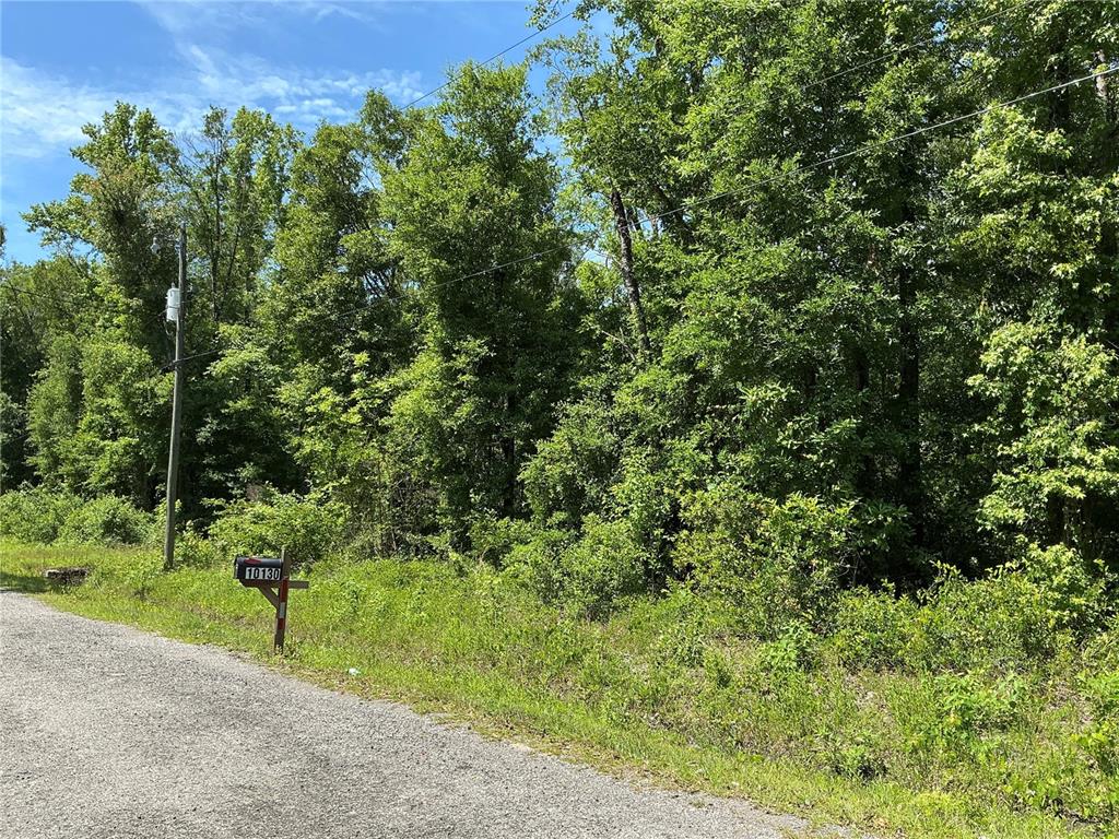 A gravel road runs alongside a wooded lot with a mailbox labeled 10130 — 10135 MCMAHON AVENUE, HASTINGS, FL