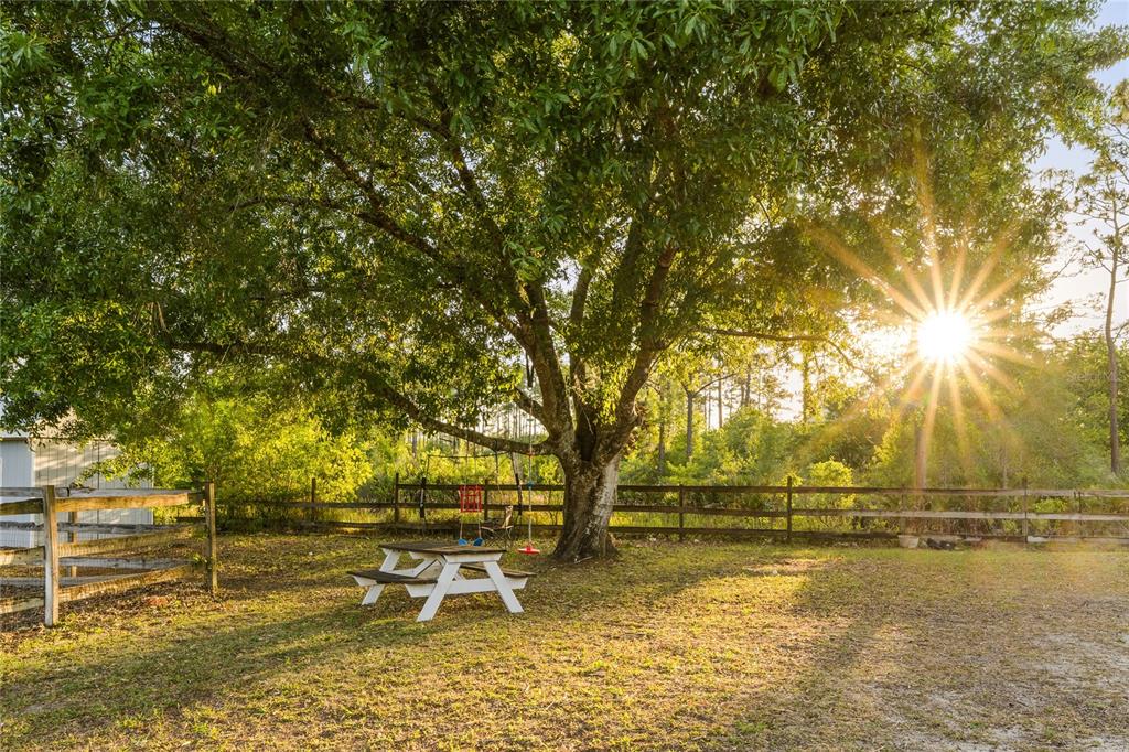 A large tree shades a picnic table and a swing set in a grassy yard — 19802 PEABODY STREET, ORLANDO, FL