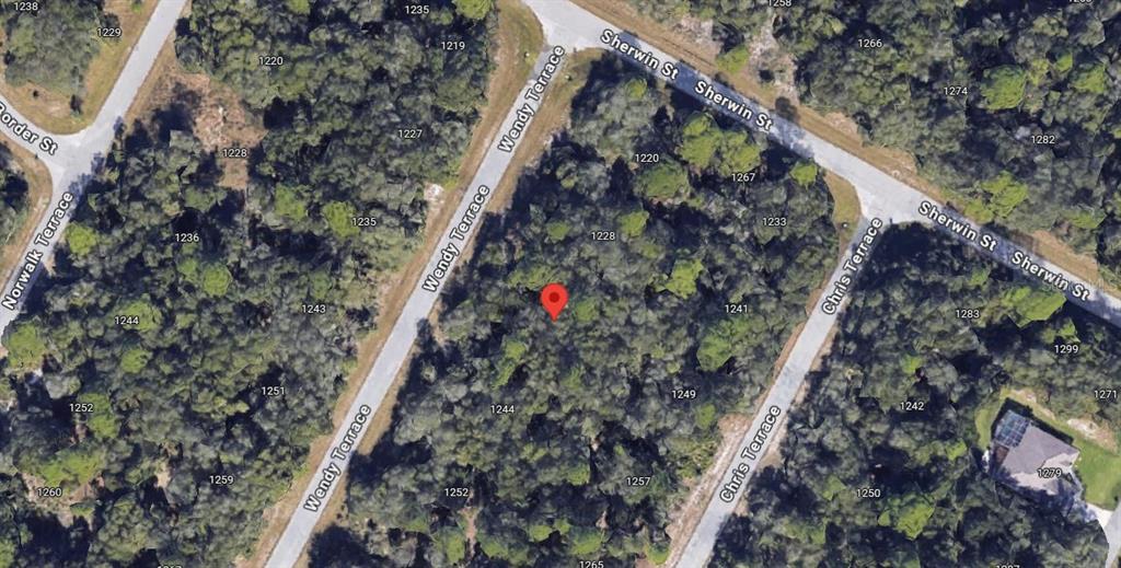 This is a satellite map view of a wooded residential lot marked with a pin — 1236 WENDY TERRACE, PORT CHARLOTTE, FL