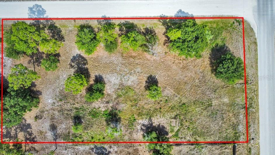 An aerial view shows a rectangular, undeveloped plot of land with scattered trees and grass — 593 HUNTING CLUB AVENUE, CLEWISTON, FL