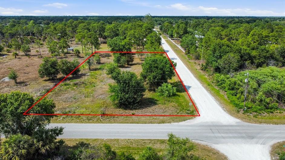 An aerial view shows a vacant, tree-covered lot outlined in red next to a road — 593 HUNTING CLUB AVENUE, CLEWISTON, FL