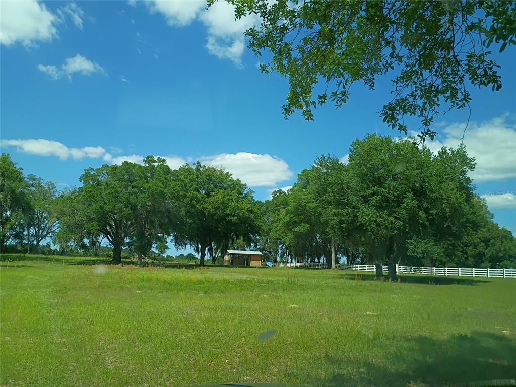 A grassy field features a small wooden structure surrounded by large trees under a blue sky — Lot #7 SE 66TH PLACE, MORRISTON, FL