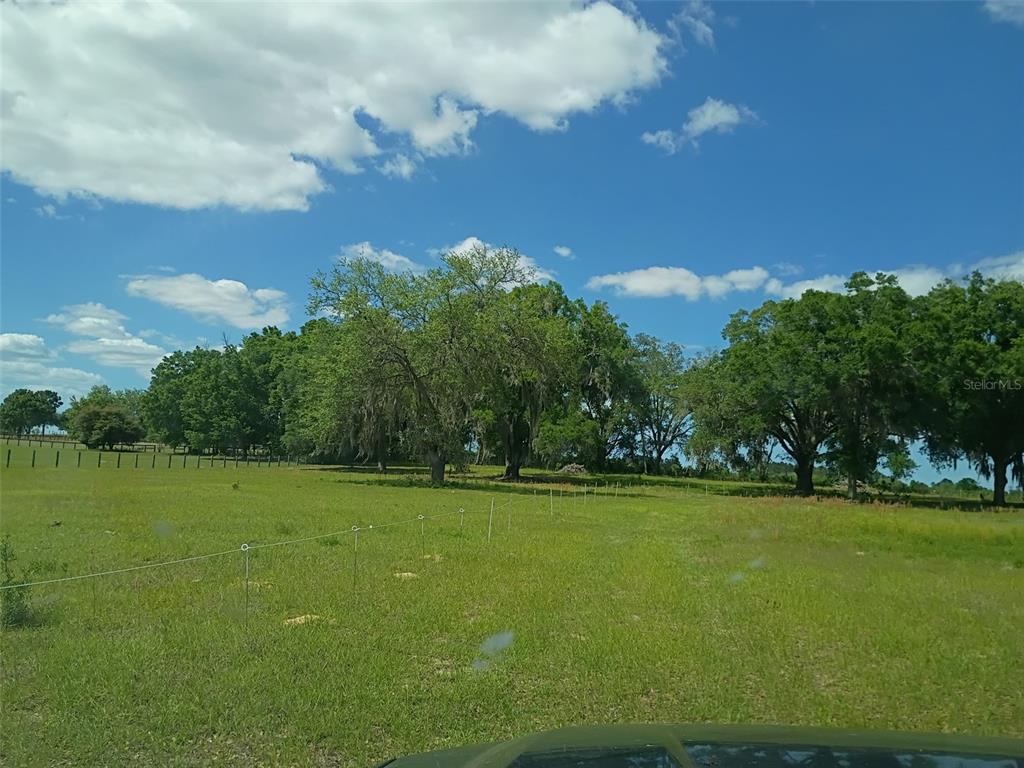 A grassy, fenced pasture features several large, mature oak trees under a blue sky — Lot #7 SE 66TH PLACE, MORRISTON, FL