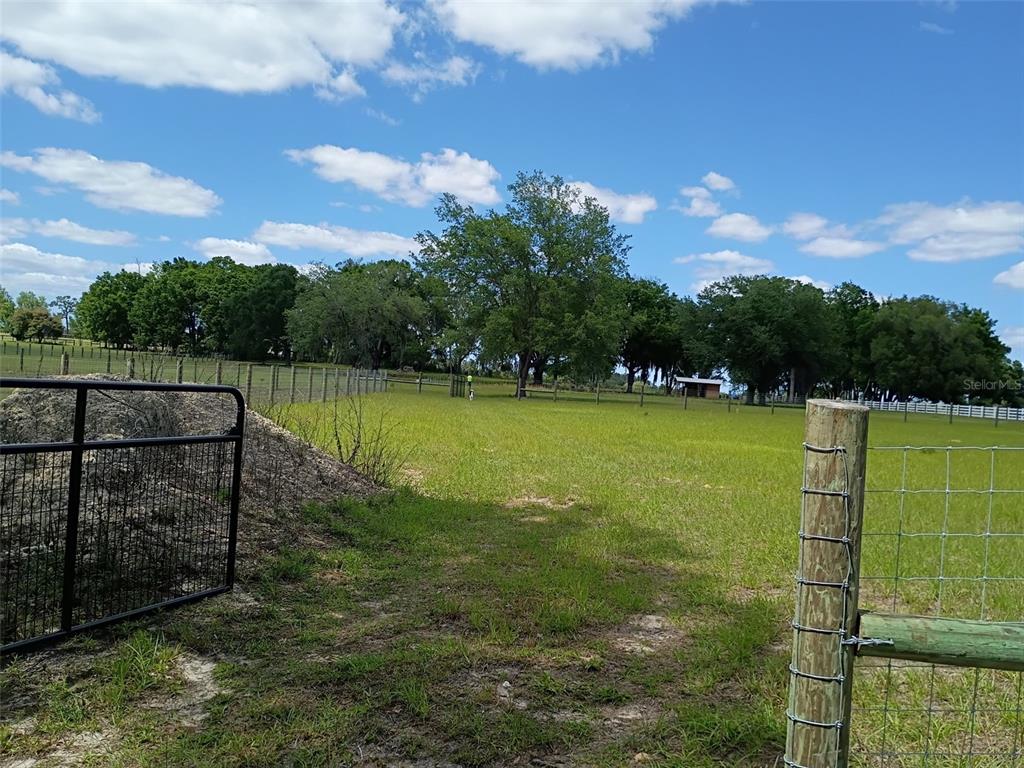 A fenced grassy pasture features scattered trees under a blue sky with white clouds — Lot #7 SE 66TH PLACE, MORRISTON, FL