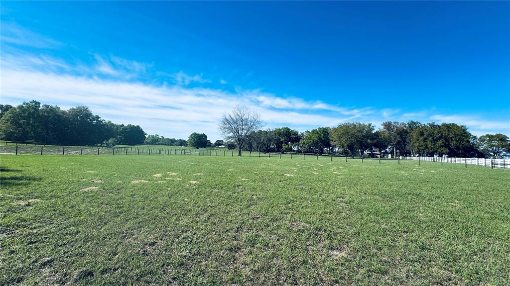 A large, grassy pasture is enclosed by a white fence under a clear blue sky — Lot #7 SE 66TH PLACE, MORRISTON, FL