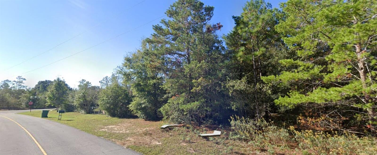A paved road runs alongside a grassy lot bordered by a dense forest of trees — Tbd Oxford Avenue, FL 32428, FL